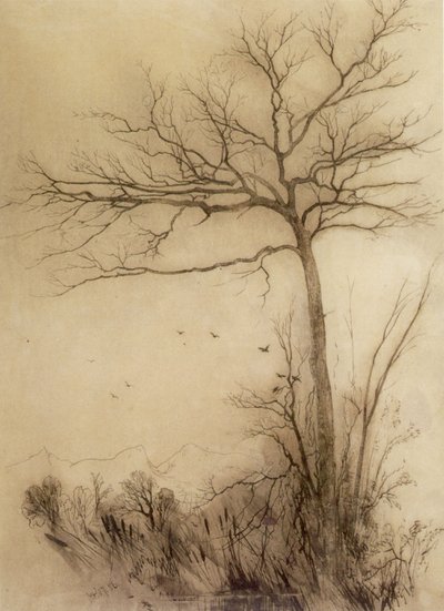Birds Fly South--Conway by Aaron Draper Shattuck
